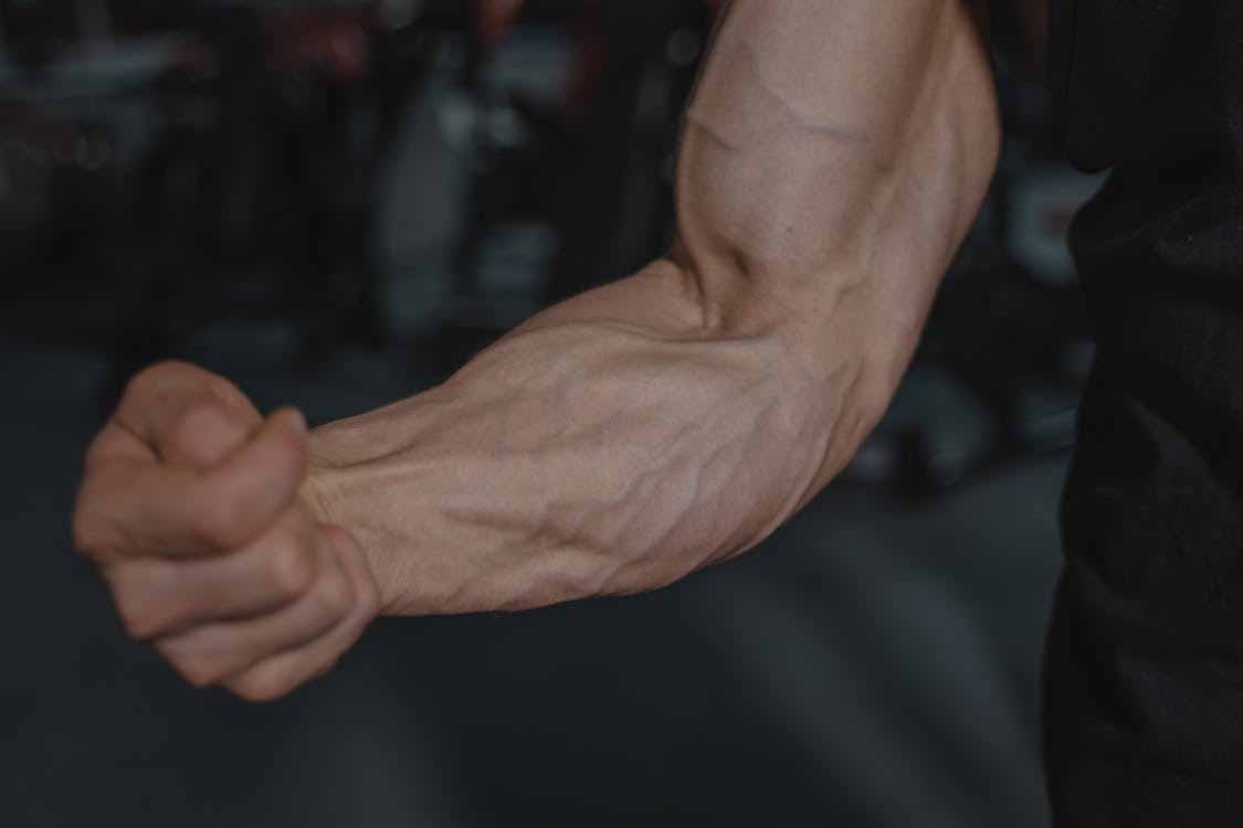 close-up-of-a-man-s-flexed-forearm-showing-visible-veins-symbolising-blood-flow-and-vascular-health